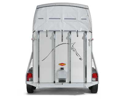 Champion Rear View