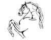 Andalusian