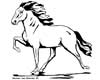 Gaited Horse