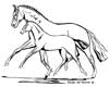 Mare Foal
