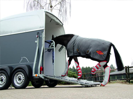 Horse-Loading