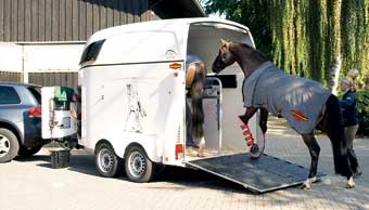 Loading 2nd Horse